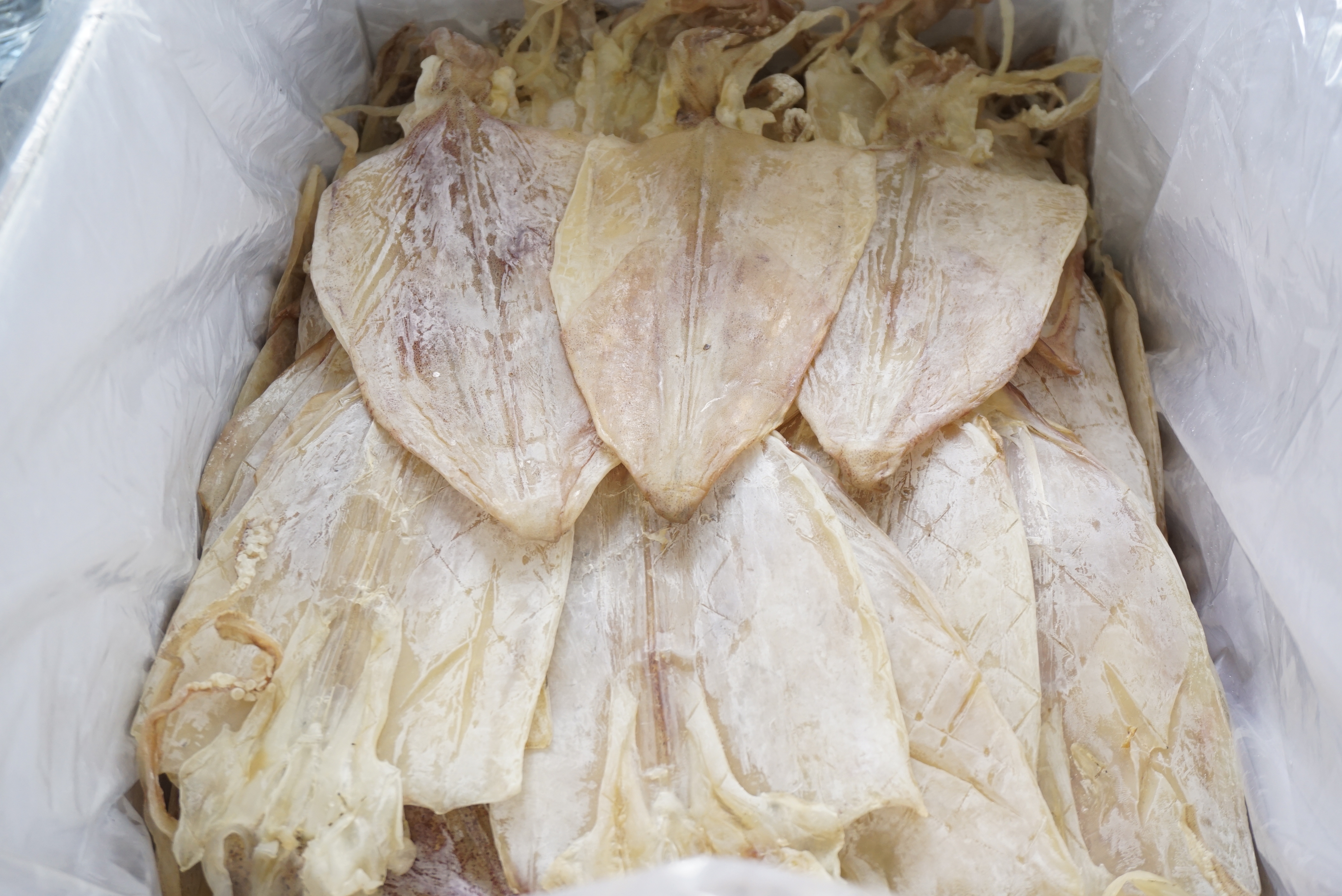 Đặc Sản Nha Trang - Mực Khô Câu Size 16 Con/Kg Seavy Gói 500G