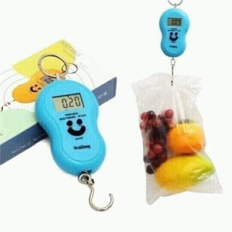 Cân móc điện tử mini cầm tay
