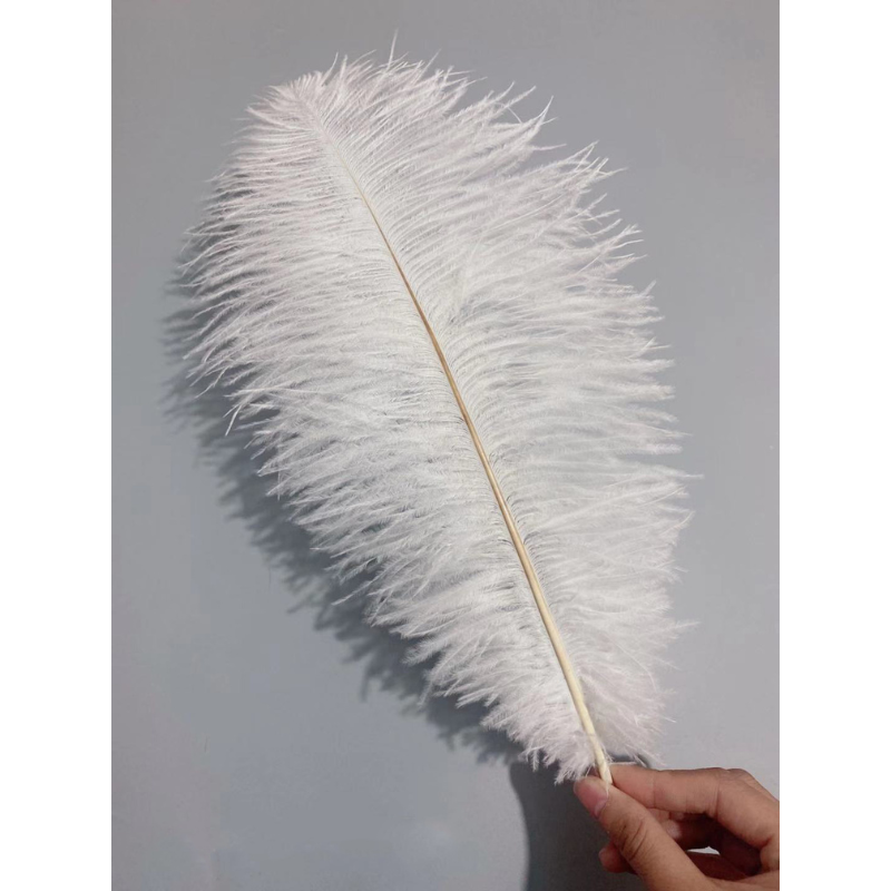 Lông Đà Điểu Màu Trắng Tự Nhiên 35-40CM Dùng Trang Trí Cho Tiệc Cưới,Spa...