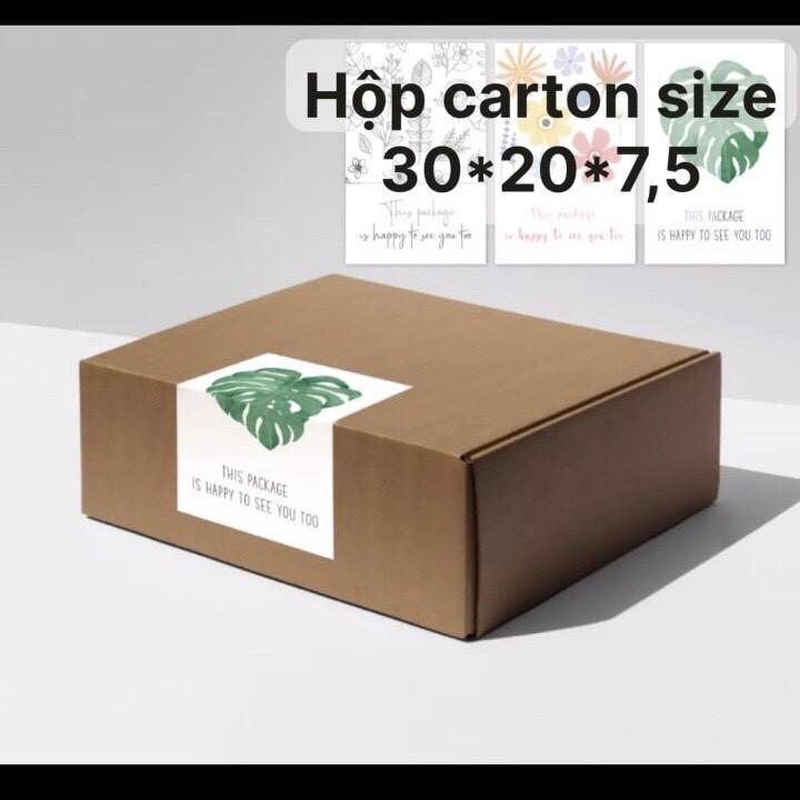 5 HỘP CARTON NẮP CÀI ĐỰNG SẢN PHẨM, HỘP GIẤY NẮP GÀI CỨNG