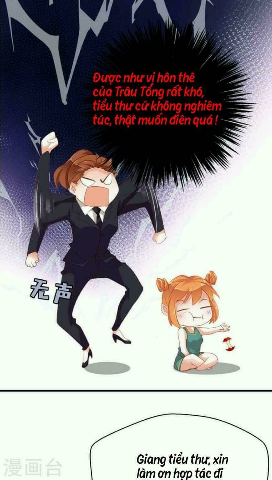 người vợ bí ẩn của tổng tài chapter 17 17