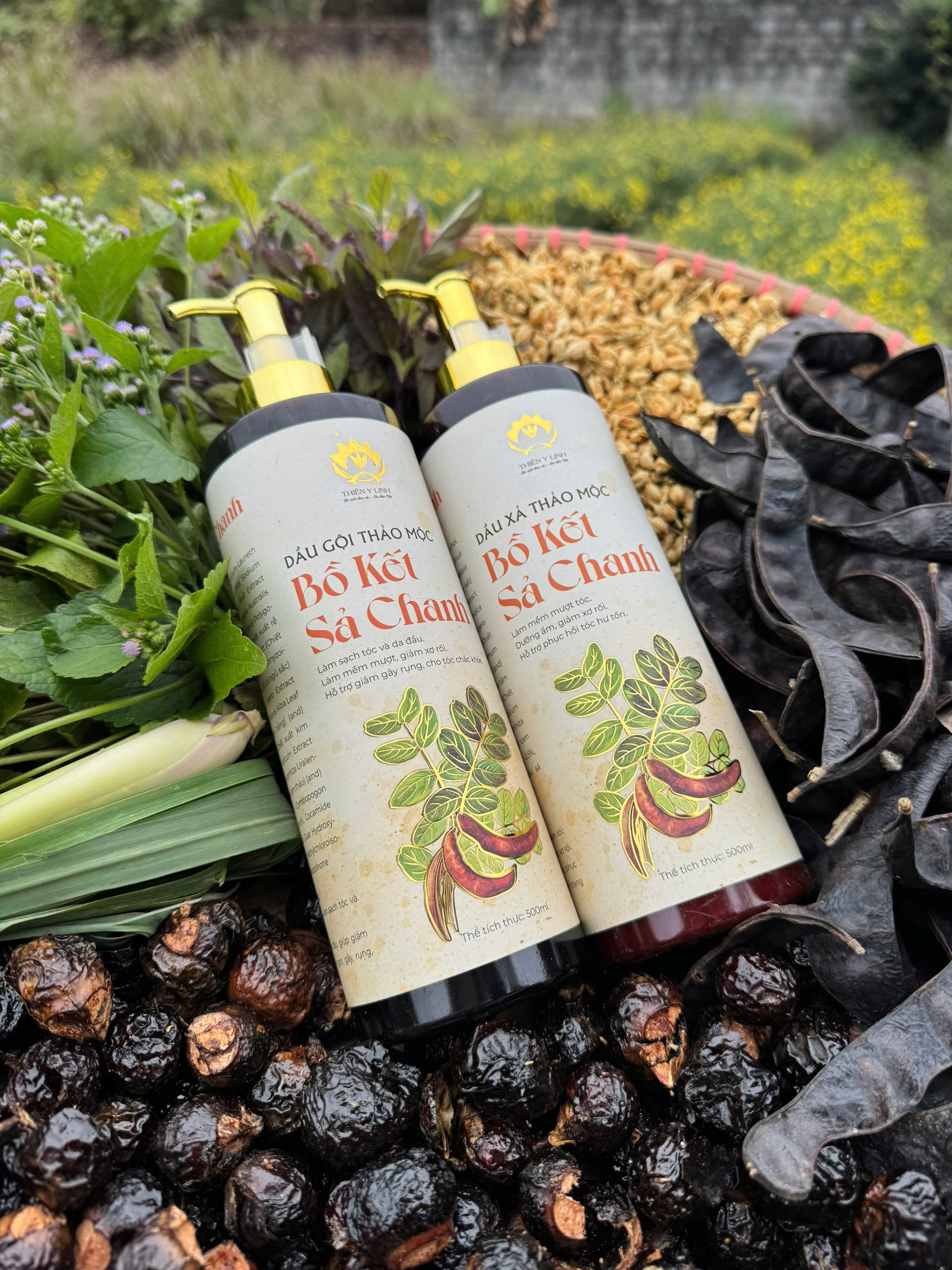 Combo Gội Xả Bồ Kết Sả Chanh thảo mộc giảm gãy rụng tóc sau sinh an toàn cho con bú