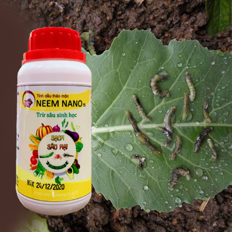 Combo Thuốc Sinh Học NEEM NANO Trừ Sâu, Trừ Nấm (Nhện, Trĩ, Bọ Nhảy/Đốm Đen, Thối Nhũn, Phấn Trắng..) Dùng Cho Rau Sạch, Hoa Hồng, Cây Cảnh Hiệu Quả Cao, An Toàn, Chai 250ml/chai / Chăm sóc cây trồng Hồng Thanh Garden