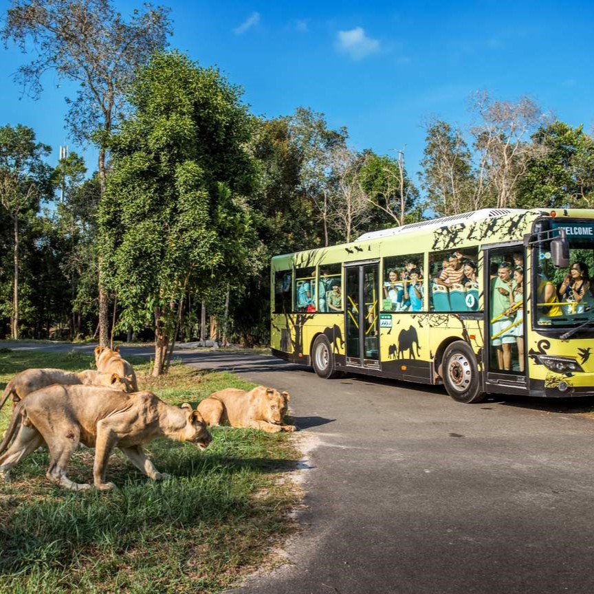 Vé VinWonders Safari Phú Quốc