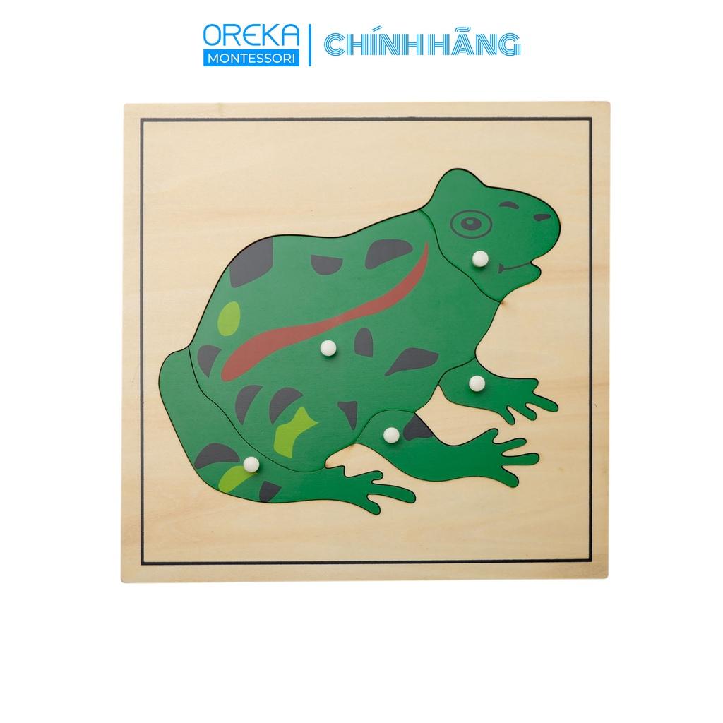 Đồ chơi trẻ em Oreka Montessori Ghép hình động vật: Ếch - 0641300