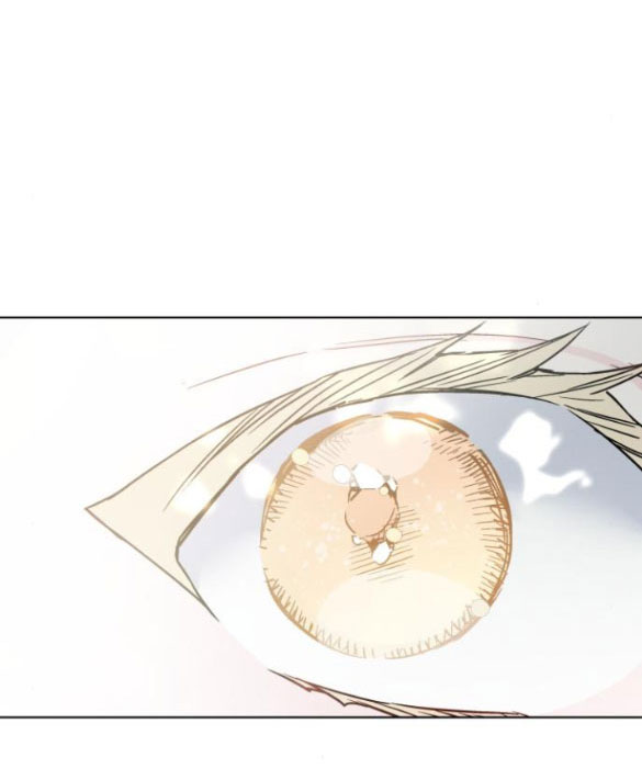 cách hiệp sĩ sống như một tiểu thư chapter 91.1 35