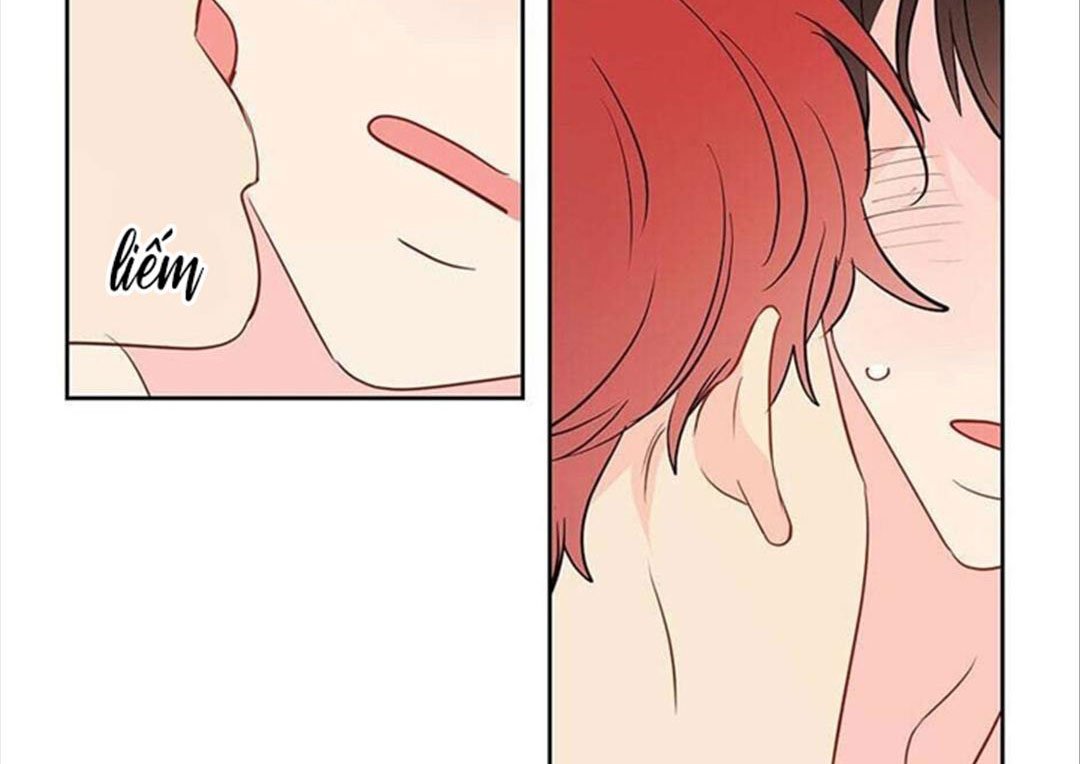 chuyện quái gì với giấc mơ đó vậy chapter 29 65