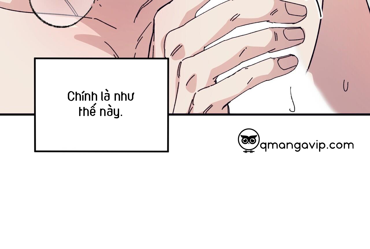 chàng dâu nhà họ kang chapter 45 140