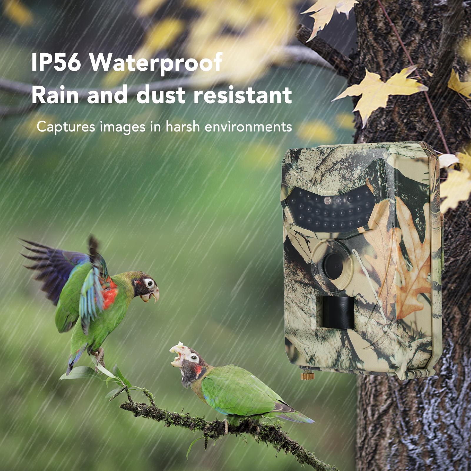 16Mp 1080P Máy Ảnh Đường Mòn Săn Bắn Máy Ảnh Máy Ảnh Hướng Đạo Động Vật Hoang Dã Ngoài Trời Với Cảm Biến Pir Hồng Ngoạimàu Đỏ Tầm Nhìn Ban Đêm