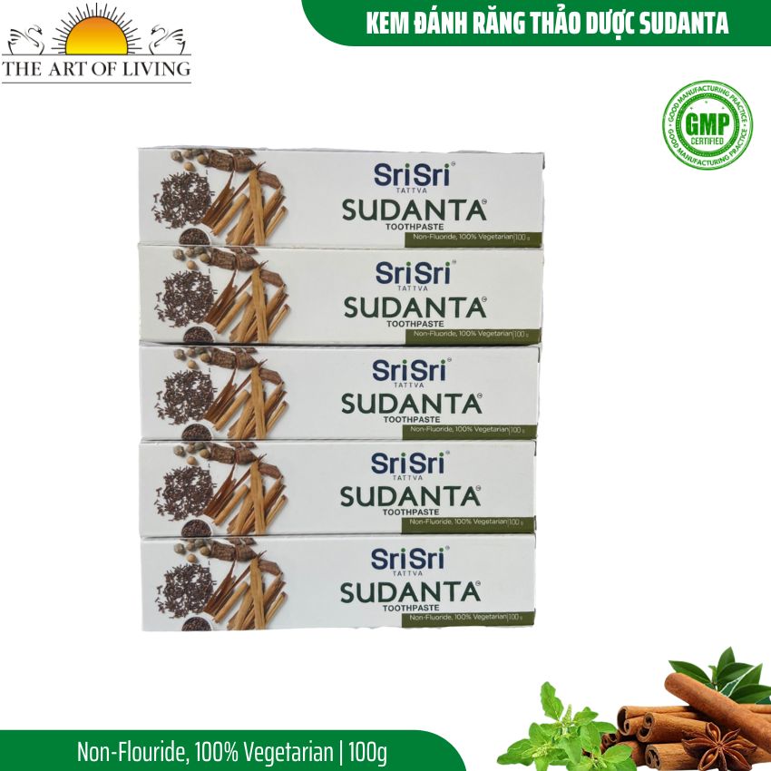 Combo 5 Hộp Kem Đánh Răng Thảo Dược Sudanta Sri Sri Tattva - Không Chứa Flouride, 100% Thuần Chay, Chắc Răng, Thơm Miệng, Ngừa Các Bệnh Từ Răng Miệng, Nướu Bằng Y Hoc Cổ Truyền Ayuveda