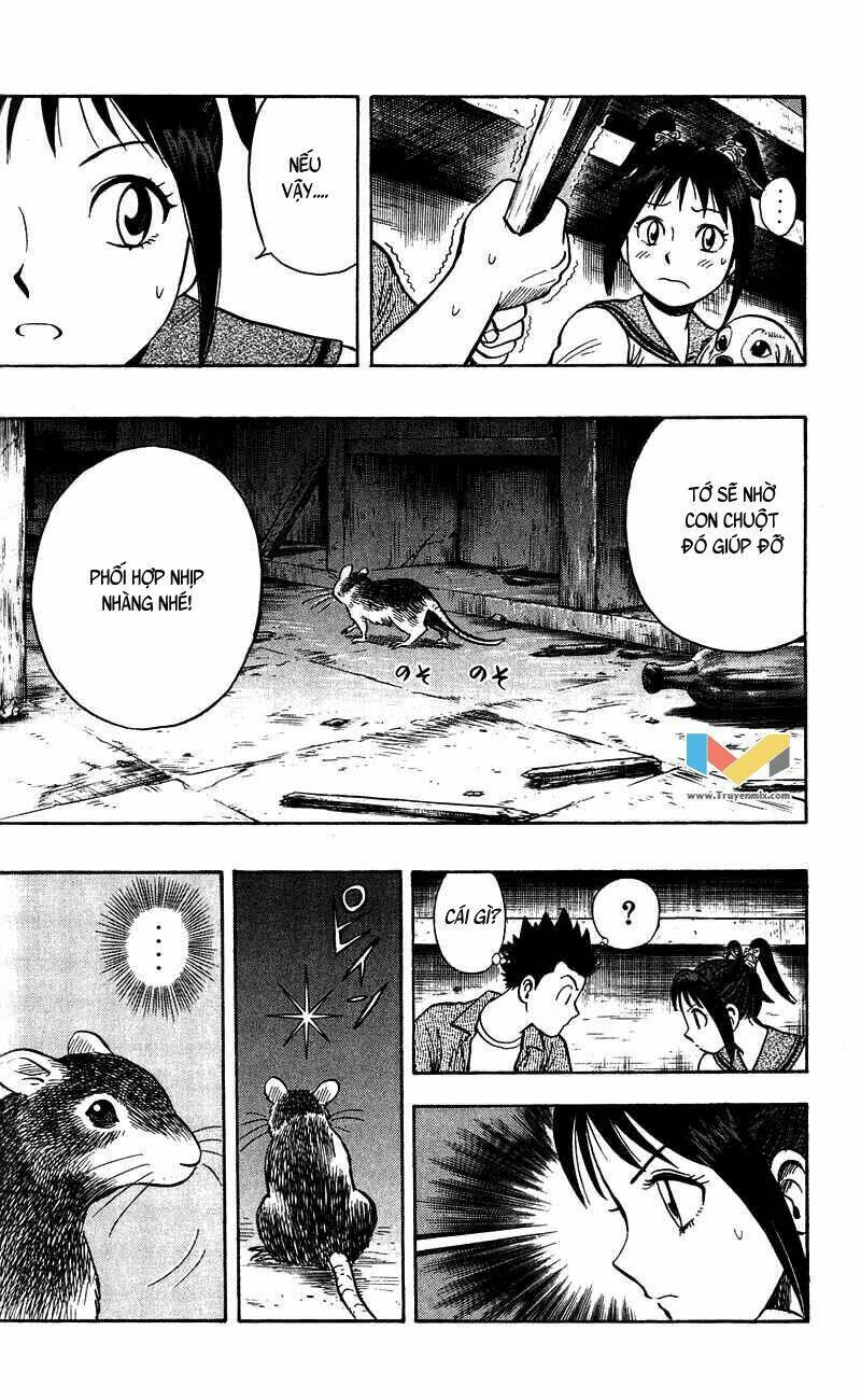 animal sense chapter 6 11