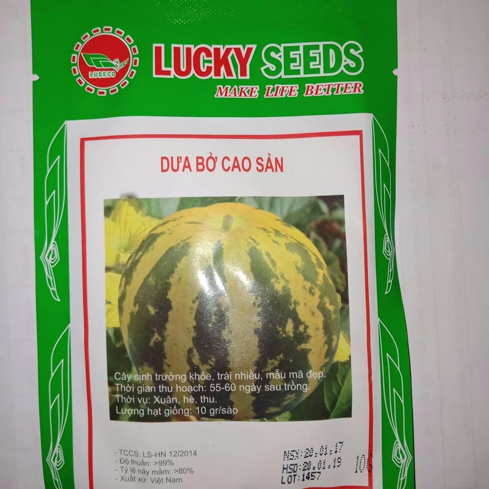 Hạt Giống Dưa Bở Thơm Cao Sản CT494 - Gói 50 hạt