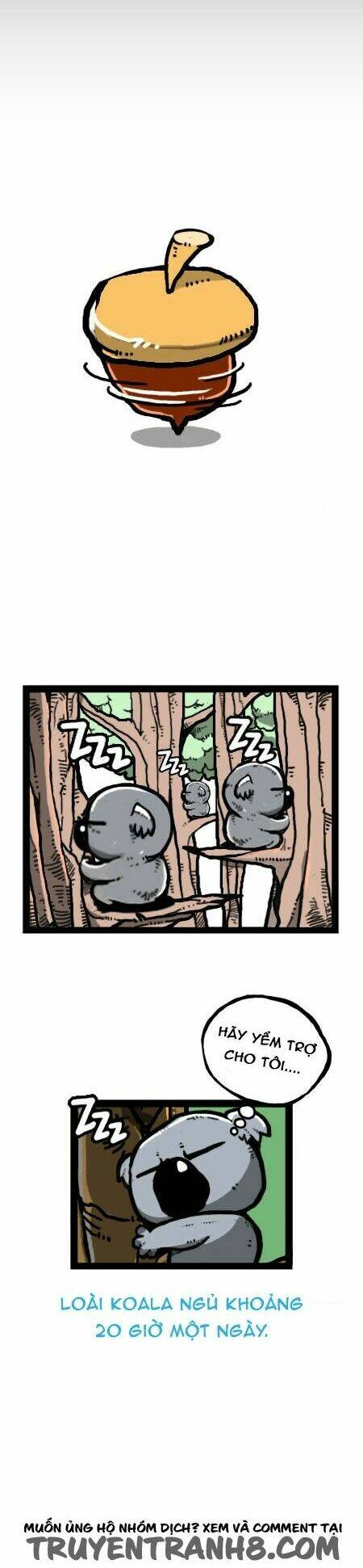 earth, human, and animal chapter 25 5