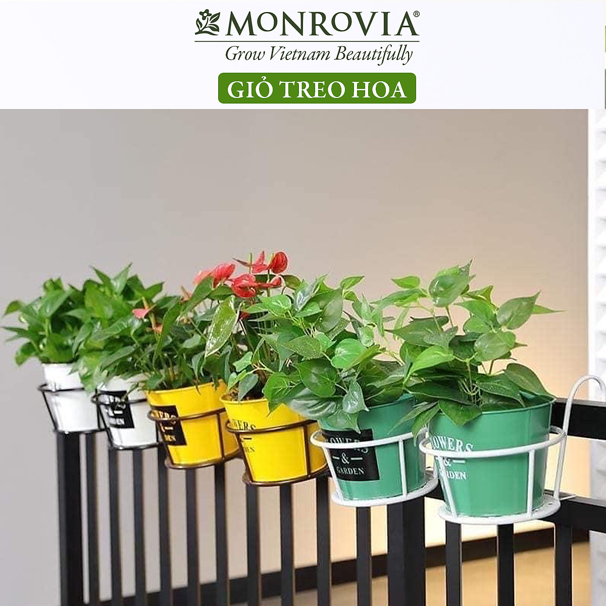 Combo 3 Giỏ treo chậu hoa ban công MONROVIA, giỏ sắt treo chậu hoa ban công, chậu treo ban công, kệ treo ban công, móc treo, khung thép, sơn tĩnh điện chính hãng thương hiệu MONROVIA - Màu Trắng