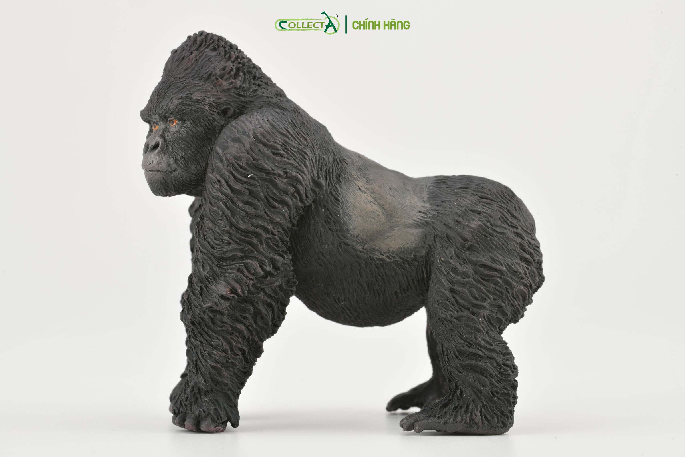 Mô hình thu nhỏ: Khỉ Đột Núi - Mountain Gorilla , hiệu: CollectA, mã HS 9651020[88899] -  Chất liệu an toàn cho trẻ - Hàng chính hãng