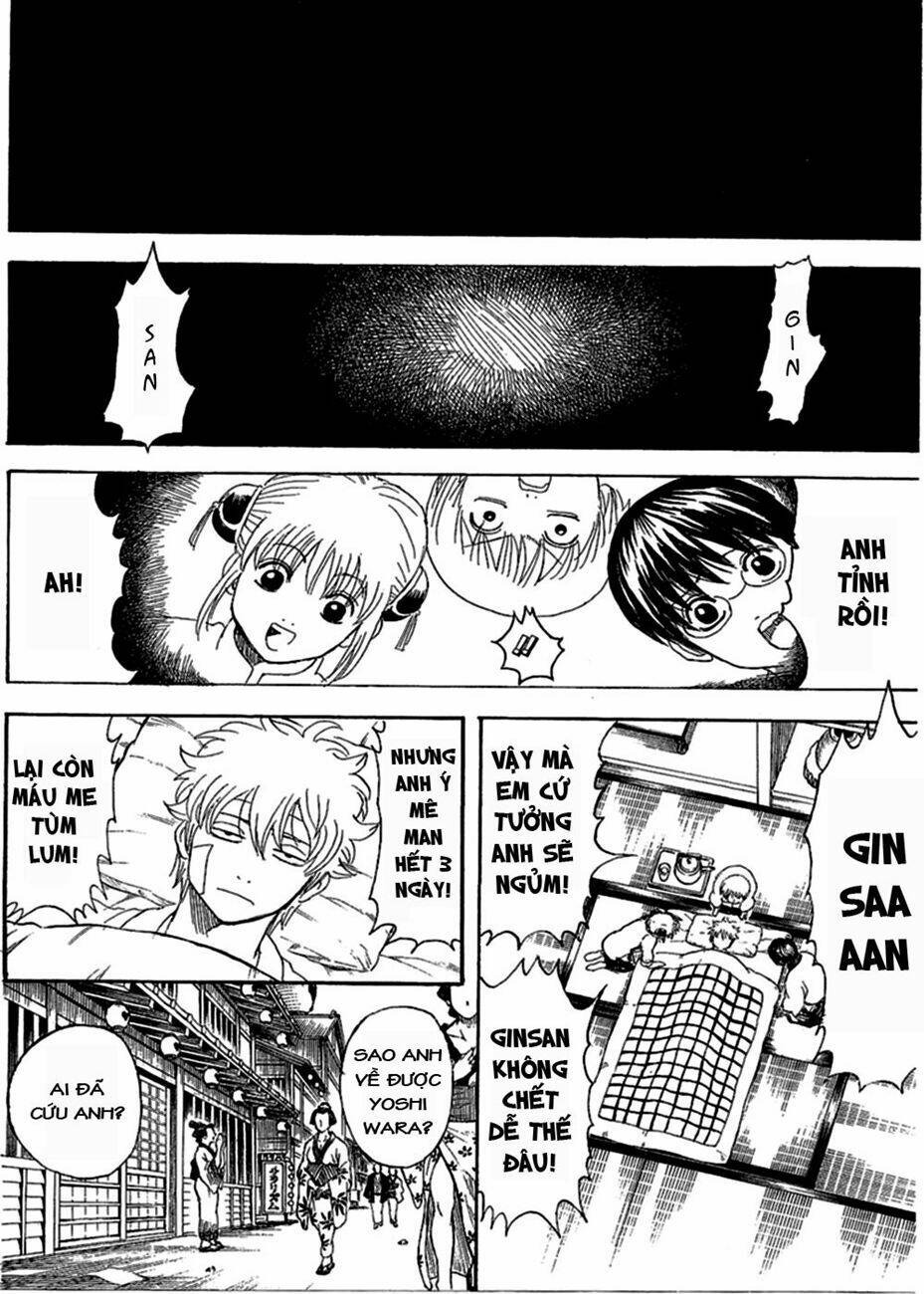 gintama - linh hồn bạc chapter 256 17