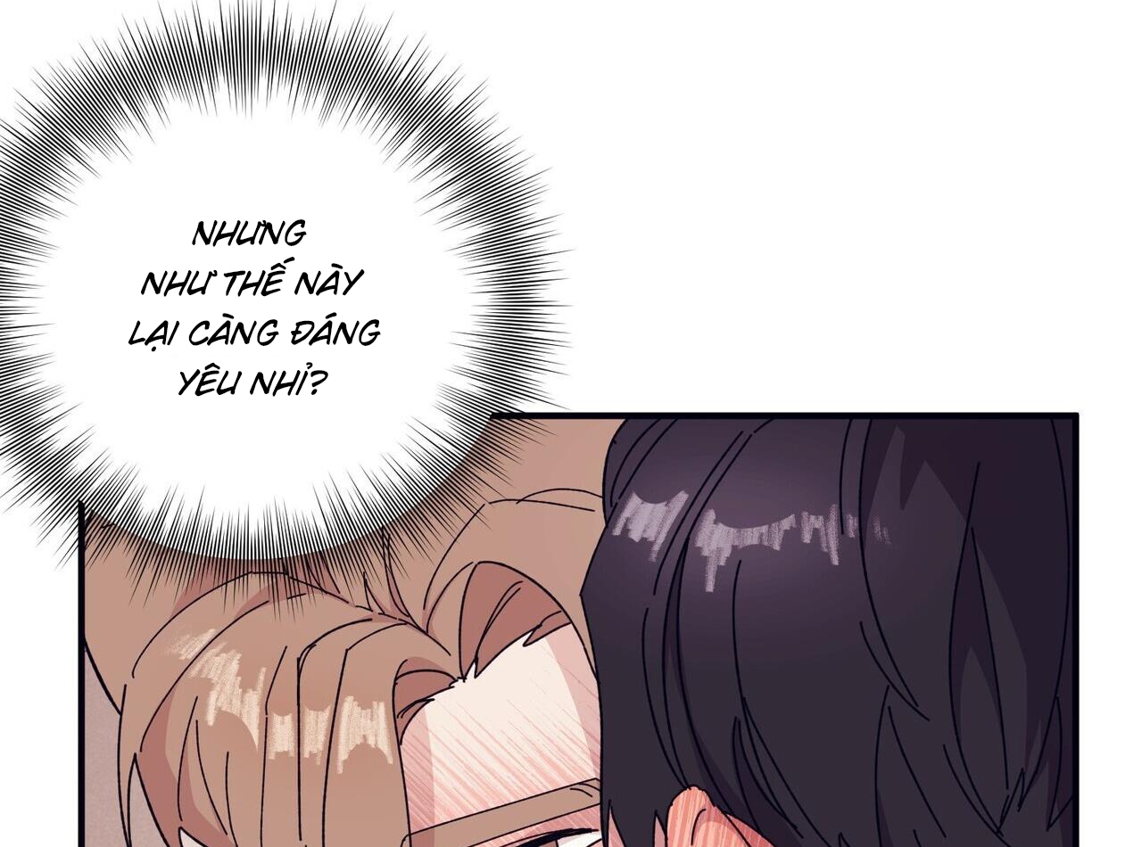 chàng dâu nhà họ kang chapter 44 50