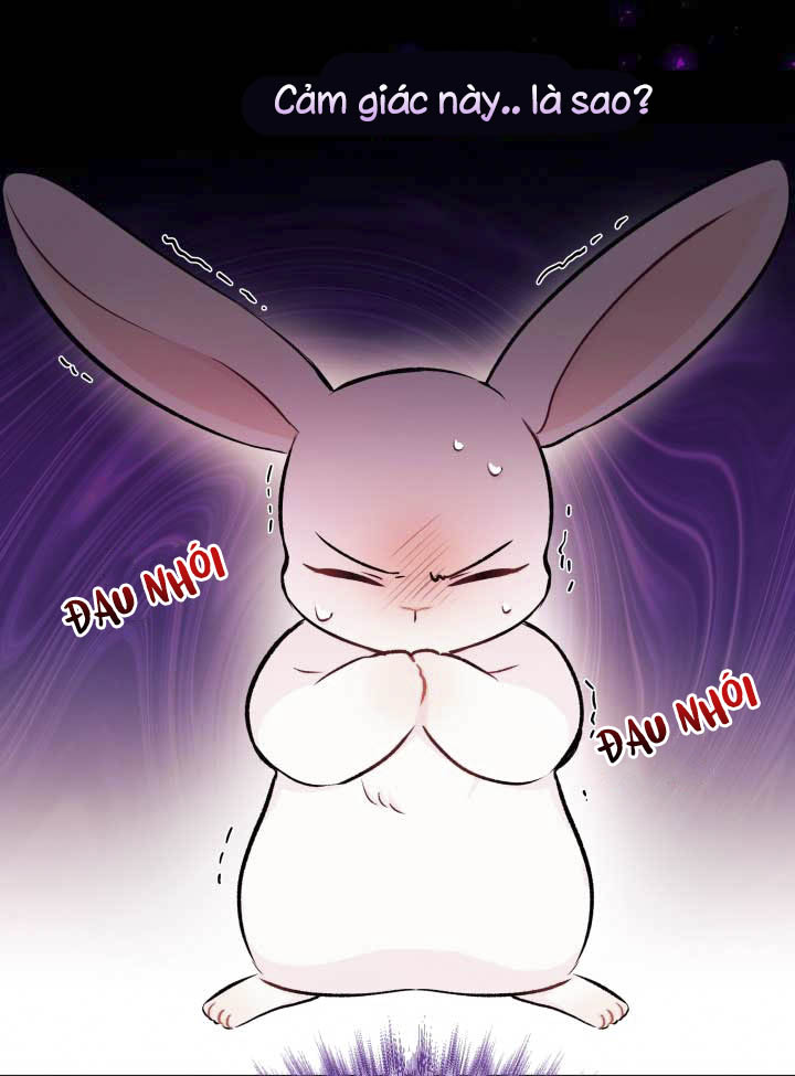 mối liên kết giữa báo đen và bé thỏ chapter 6 16