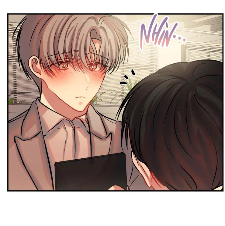 hợp đồng tình yêu chapter 36 41