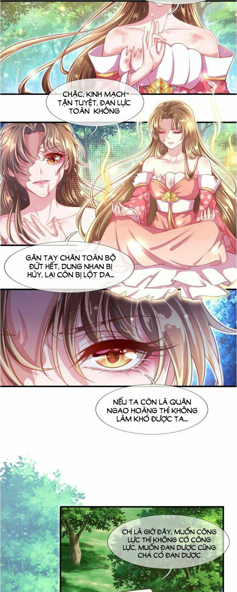 phượng lâm thiên hạ: thiên hạ đệ nhất nữ quân chapter 2 11