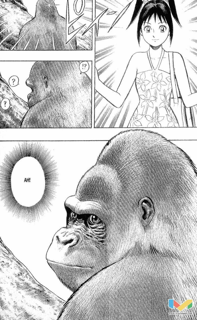 animal sense chapter 3 12