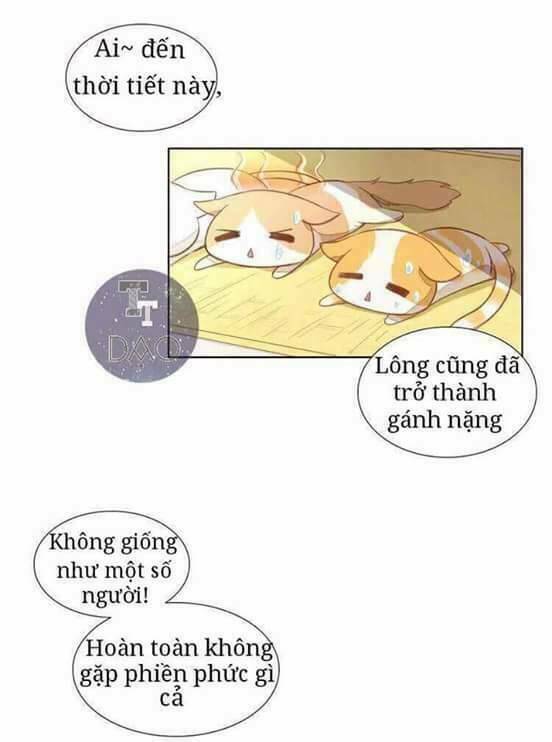 dưới móng vuốt mèo chapter 3 4