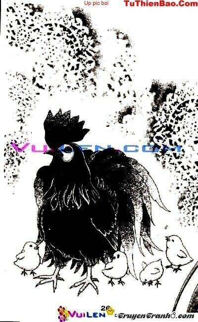 đóa hoa yêu kiều chapter 2 27