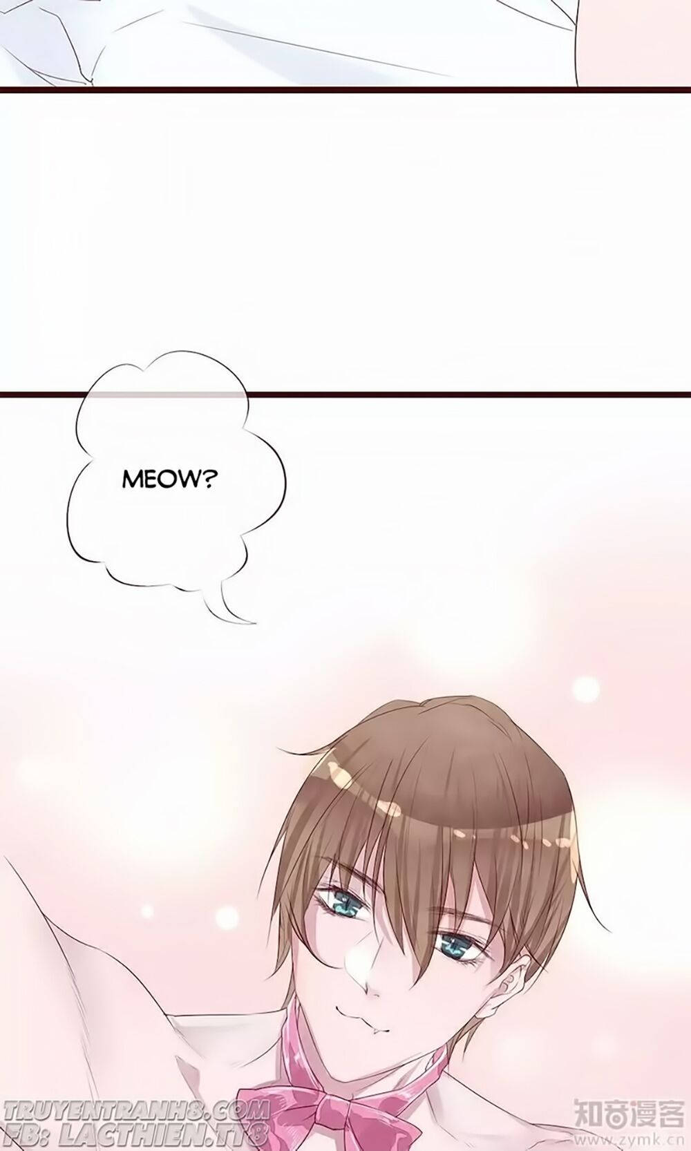 đào tạo nuôi dưỡng bạn trai mèo chapter 3 23