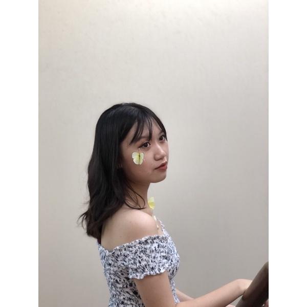 Bướm khô trang trí