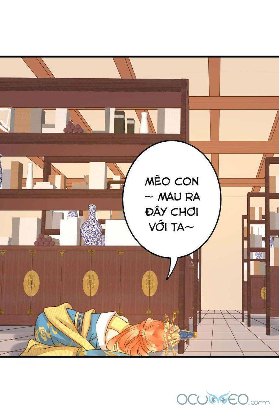 quý phi này có chút cơ chapter 19 23