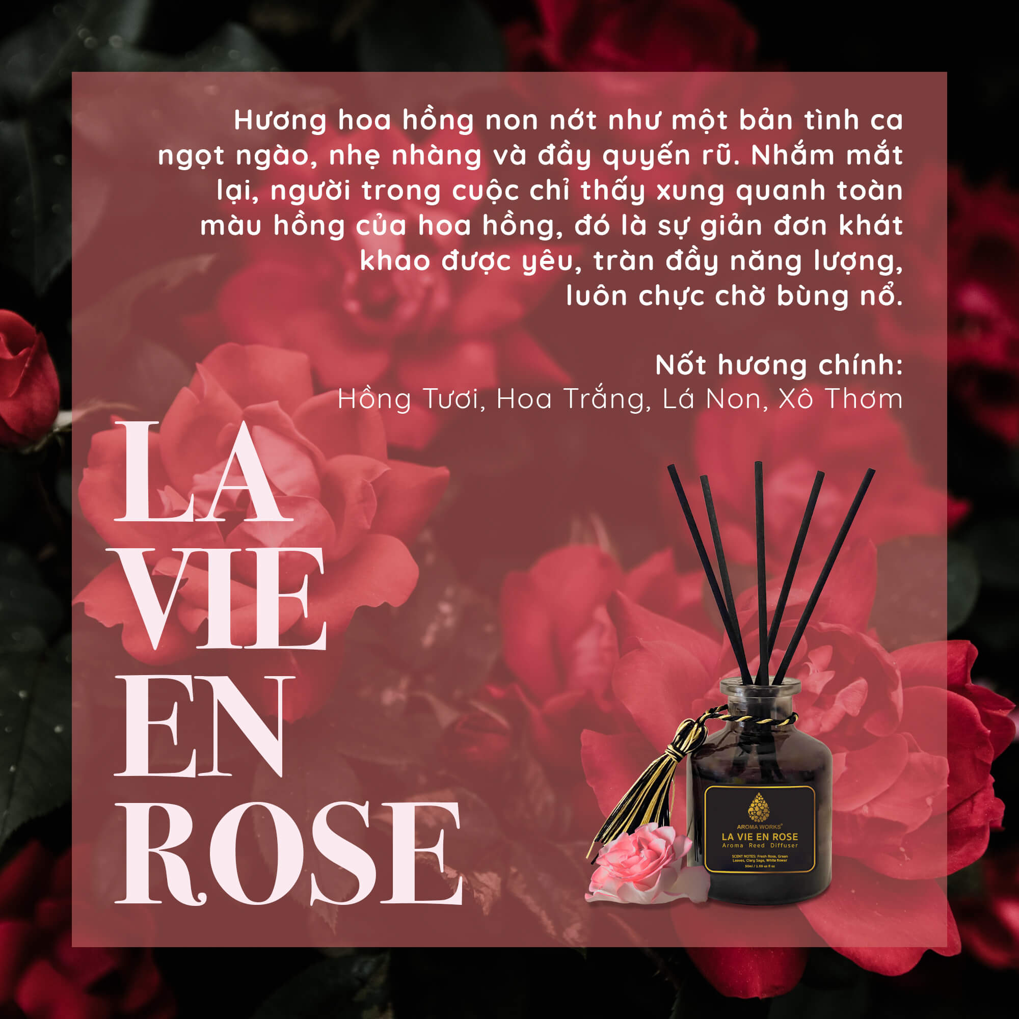 Tinh Dầu Tán Hương Thơm Phòng Cao Cấp Que Mây Aroma Works Reed Diffuser - La Vie En Rose