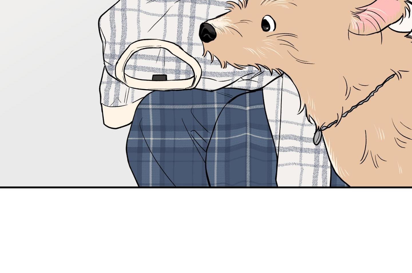 gâu gâu! chapter 49 110