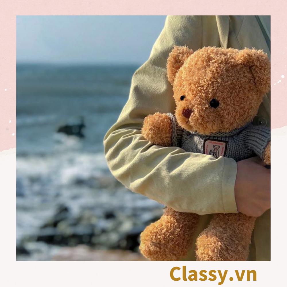 Gấu bông Teddy Classy mặc áo siêu êm siêu mịn B1375 B1376