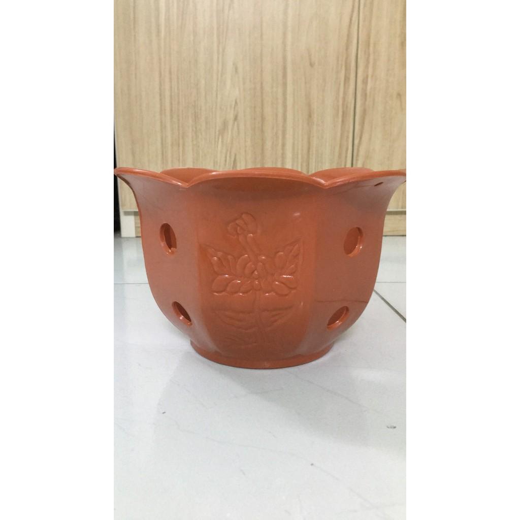 Combo 05 chậu lan giả đất nung Bông Mai 210x125x105