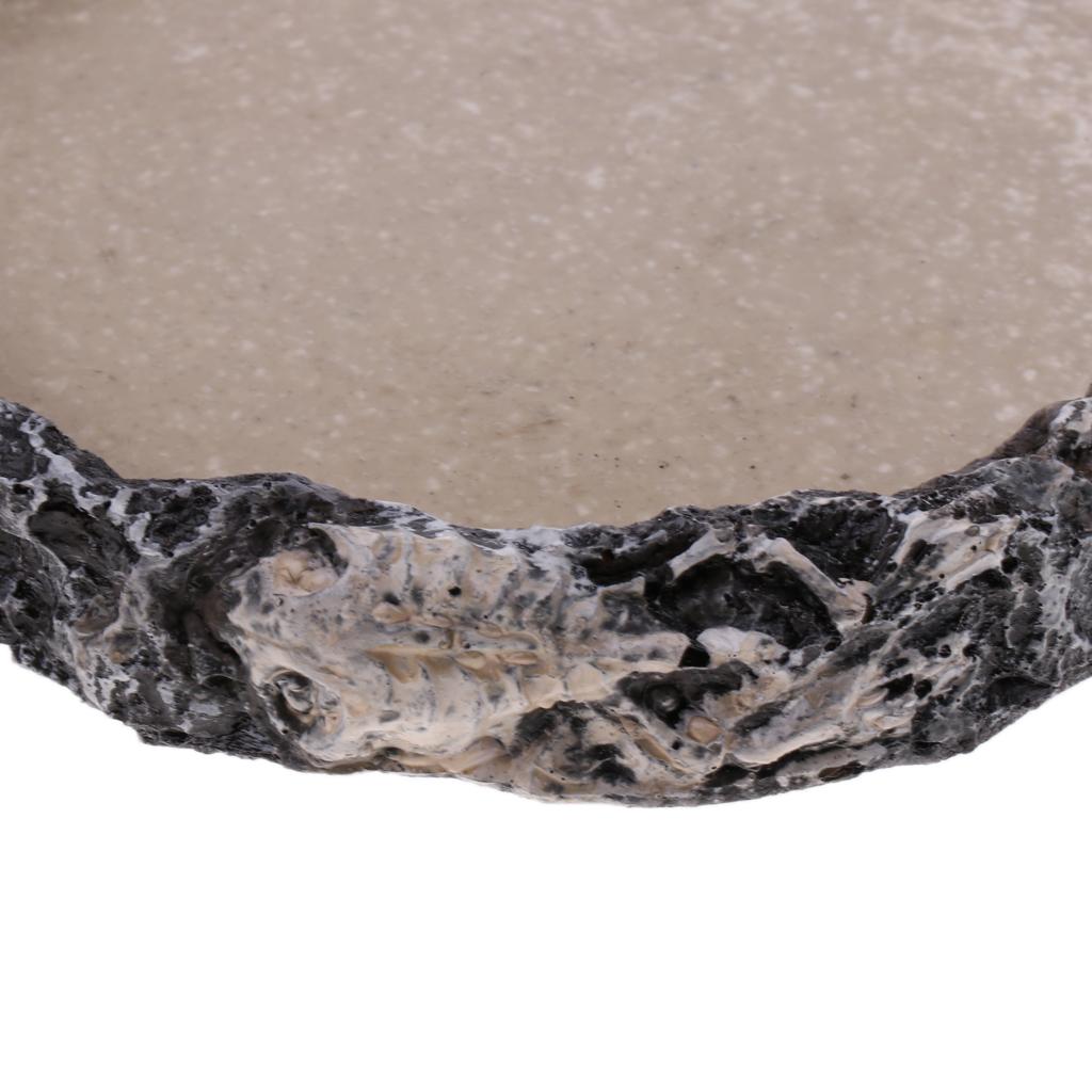 Reptile Vivarium Terrarium Feeding Bowl Tortoise lizard Gecko Tarantula Water Food Worm Feeder Basin Shaped