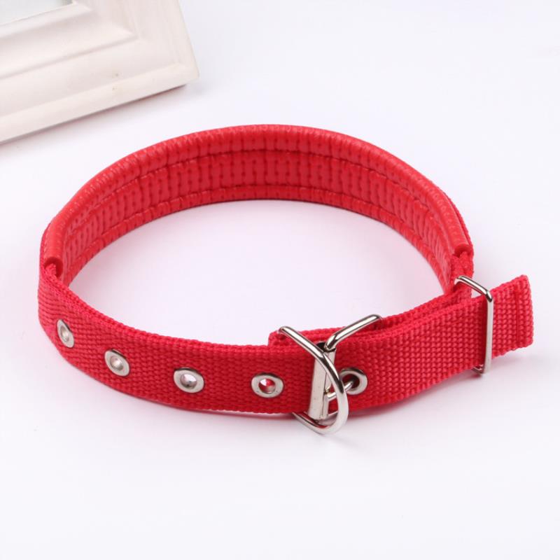 Bộ 2 Vòng cổ, dây đeo cổ cho chó mèo - Màu ngẫu nhiên