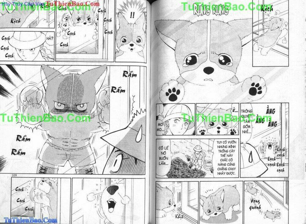 chó con mo mo chapter 3 56