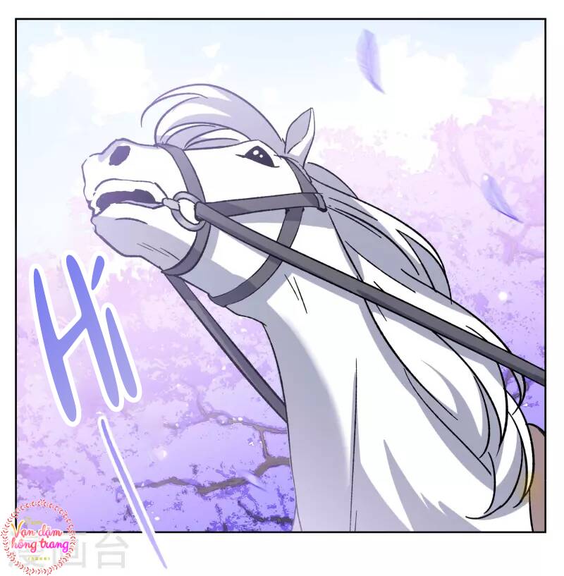 cô ấy đến rồi, xin nằm xuống! chapter 242 31