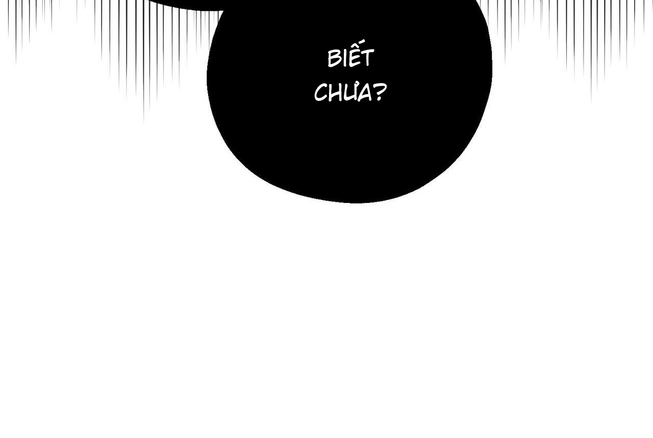 chàng dâu nhà họ kang chapter 43 14