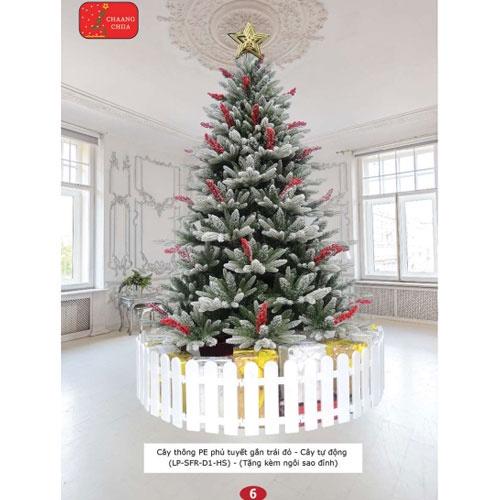 Cây thông noel PE phủ tuyết gắn trái đỏ 1m5 - Cây tự động bung - Loại cây đẹp sang trọng