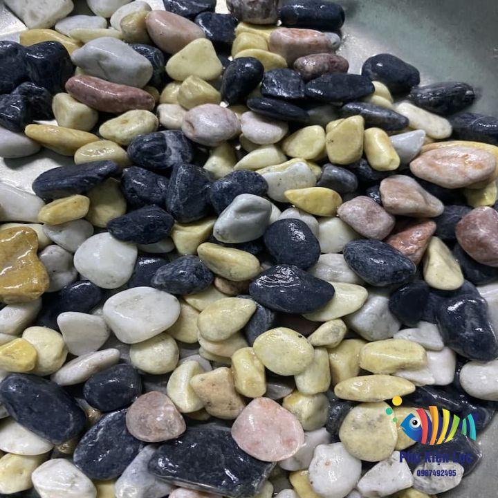 Sỏi 4 Màu Trang Trí Hồ Cá, Nhà Cửa, Chậu Cây, Hoa 1KG