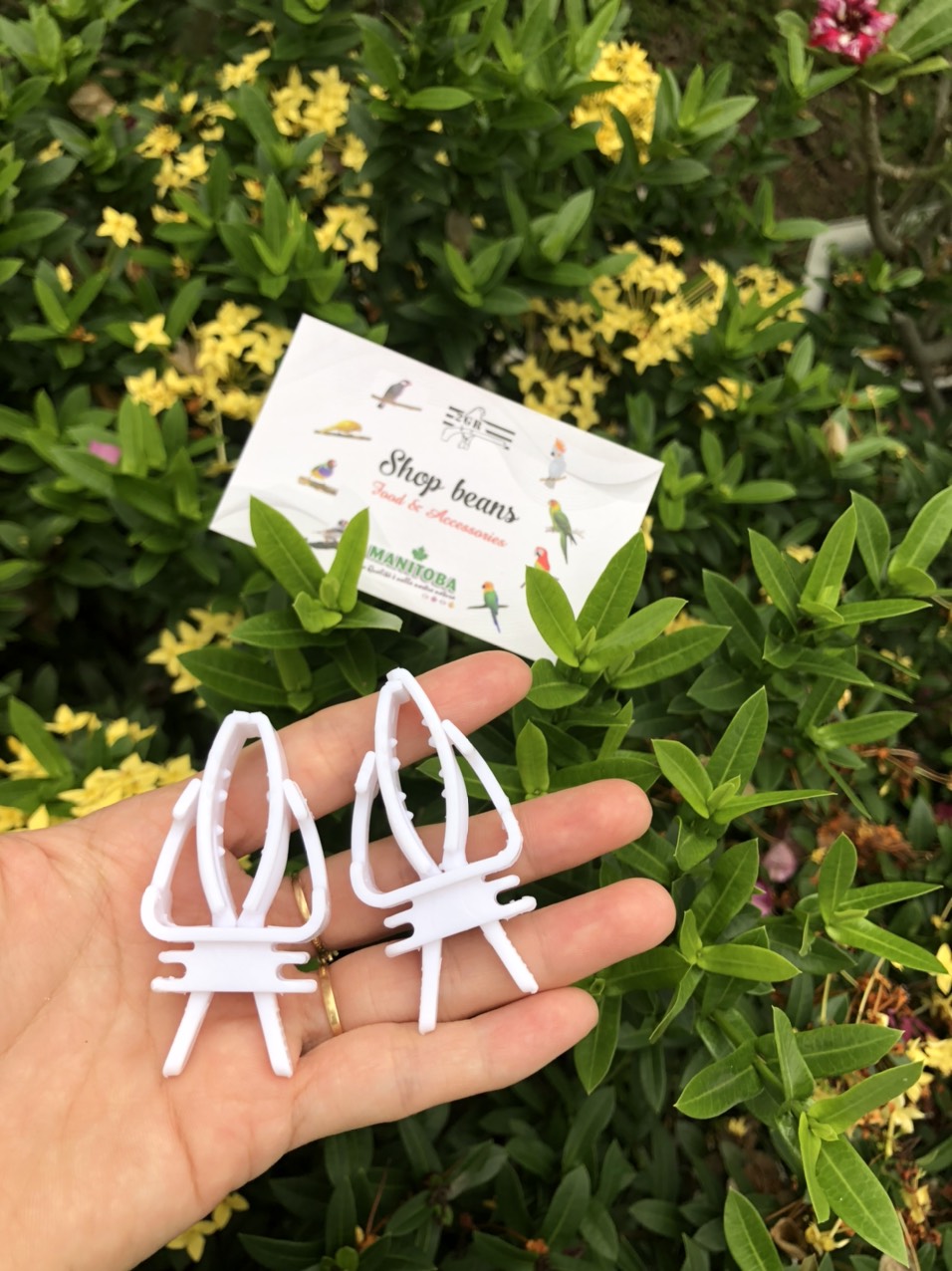 Kẹp nang mực/ rau củ cho chim, vẹt