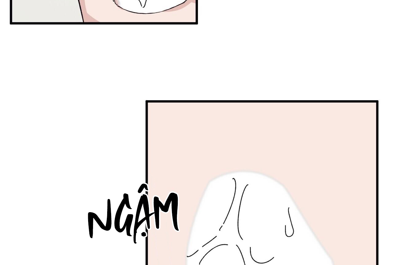 chàng dâu nhà họ kang chapter 45 143