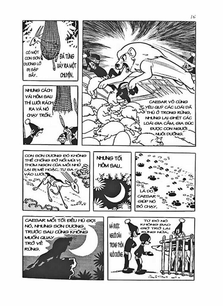 vua sư tử chapter 0 14