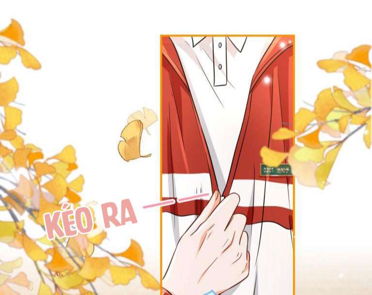 tín tức tố nói chúng ta không thể chapter 40 34