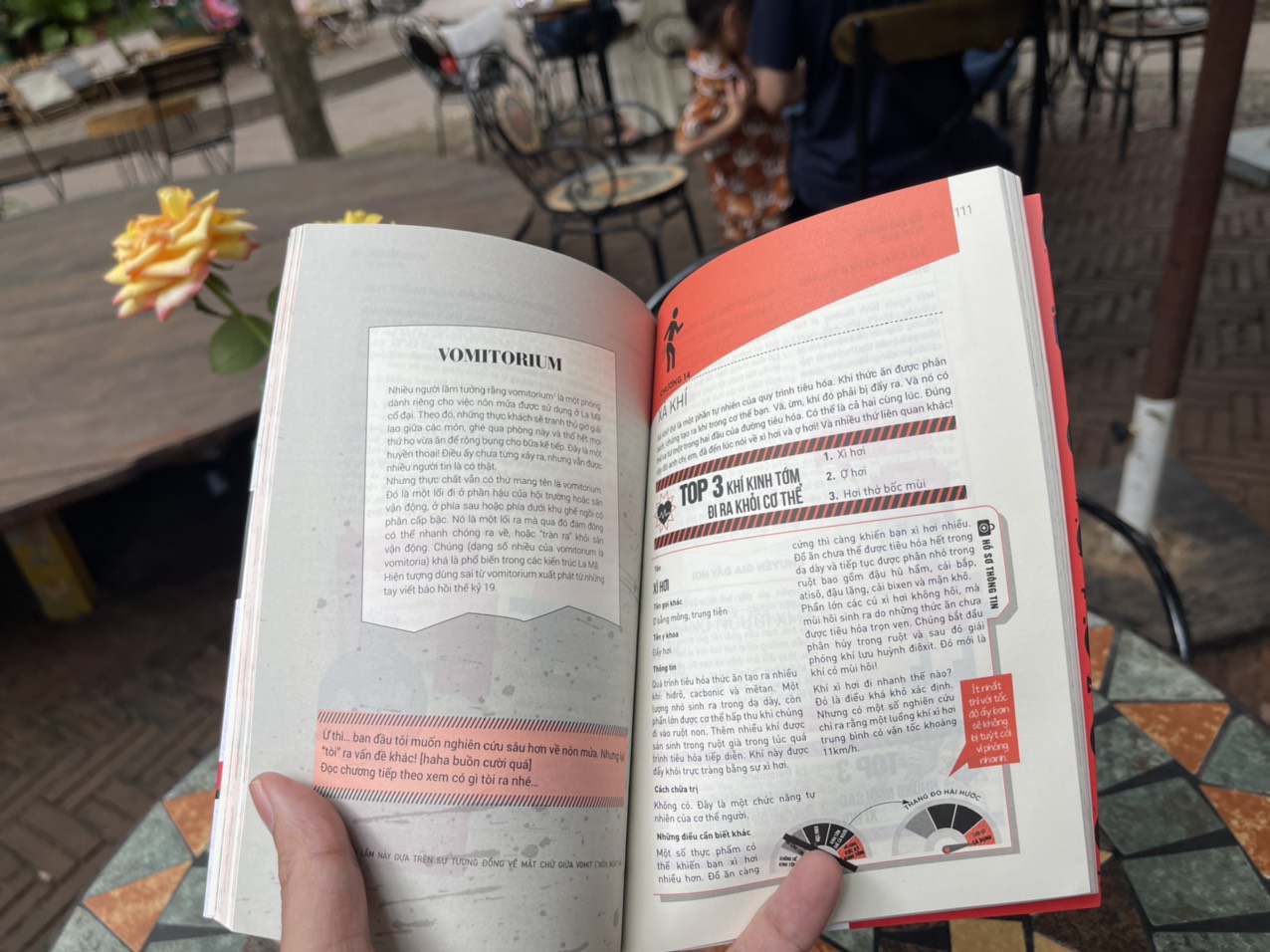 CẨM NANG KHÁM PHÁ CƠ THỂ NGƯỜI – George Ivanoff – Trịnh Thu Hằng dịch – READ Books – AZ Vietnam – NXB Thế Giới