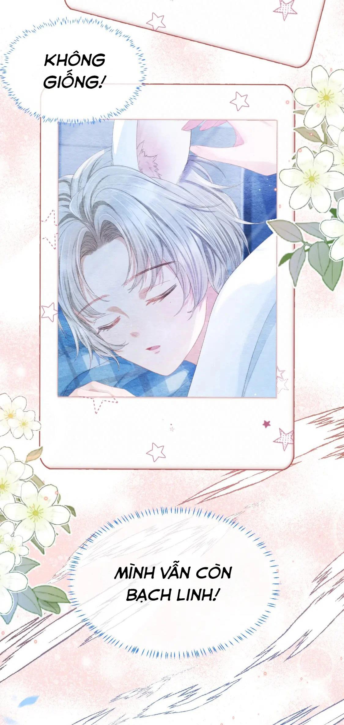 [ss2] một ngụm ăn cả thỏ con chapter 39 20