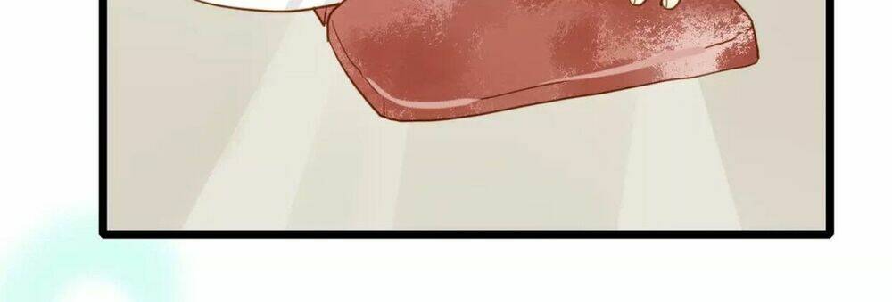 điều giáo quan hệ chapter 23 15