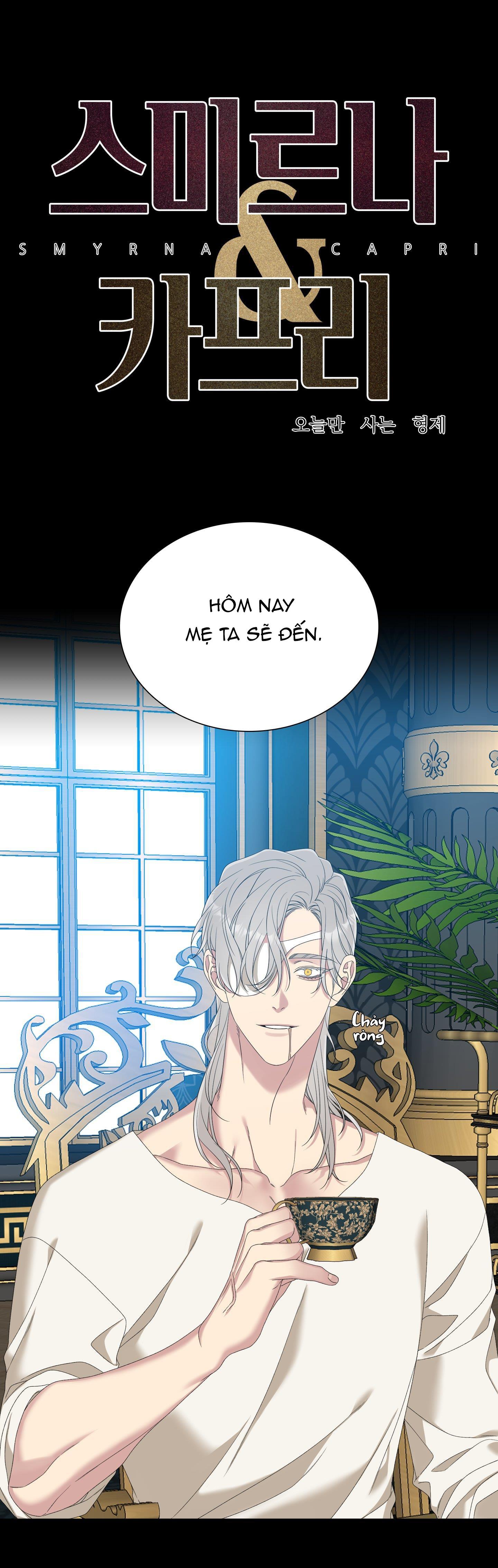 smyrna và capri chapter 29 1