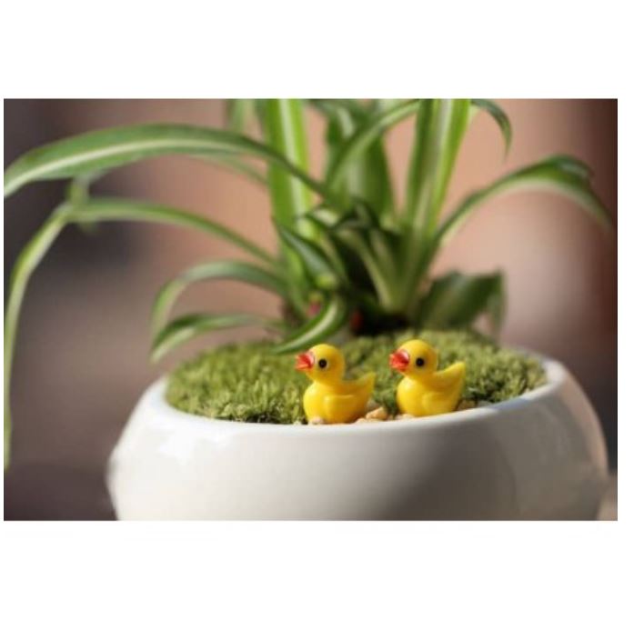 Phụ kiện tiểu cảnh Vịt con Mini - Phụ kiện trang trí tiểu cảnh sen đá terrarium, sân vườn, bể cá